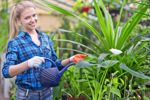 Close-up of hands pruning a hedge with gardening tools