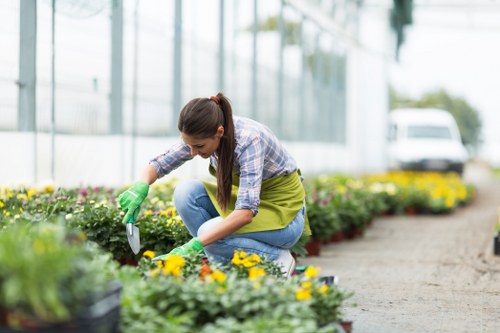 Gardener accepting payment in Battersea