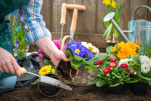 A gardener's hands planting a vibrant purple primula flower into rich, dark soil in a garden bed, surrounded by an assortment of colorful flowering plants including yellow primroses, red pot mums, and other early spring blooms. In the background, gardening tools such as a small spade, a watering can, and a bucket are visible on a wooden fence and garden workspace. The garden is part of an outdoor space with a mix of prepared flower beds and natural ground, indicative of active garden maintenance typical of Battersea residential gardens. The scene captures a calm, cloudy day suitable for outdoor gardening activities, with soft natural light illuminating the plant details and materials involved in flower planting that a professional gardening service like Gardening Services Battersea would provide, focusing on garden planting, maintenance, and landscape enhancement.