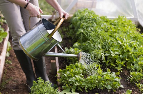 Professional lawn mower service in Battersea