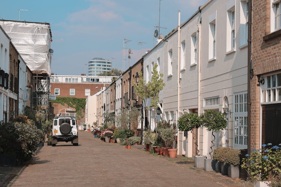 A detailed photograph of a well-maintained garden on Battersea Bridge Road, featuring lush green grass with a neatly trimmed lawn, bordered by garden beds planted with a mix of flowering shrubs and sm